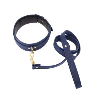 Faux Suede Blue and Gold Collar and Leash