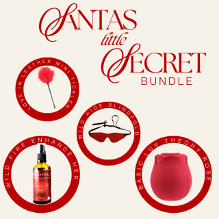 Santa's Little Secret