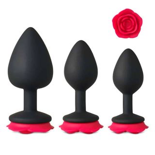 Rose 3 Piece Anal Training Kit