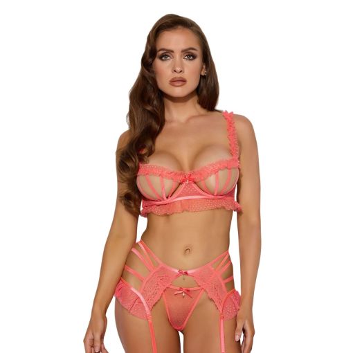 House of Desire Portia Swiss Cutout Bra, Garter & Thong