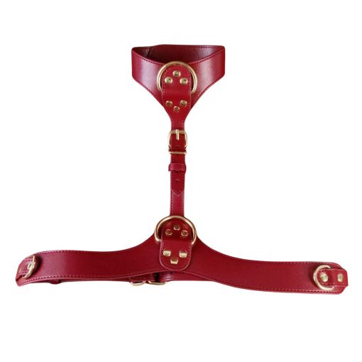 Faux Leather Red Neck to Waist Harness
