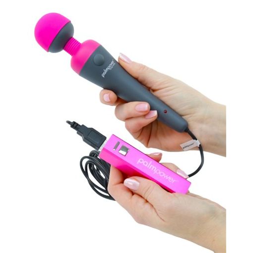 Palm Power USB Plug & Play Massager Wand