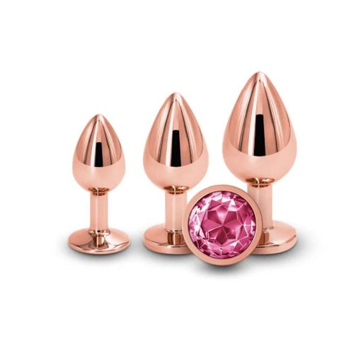 Rear Assets Rose Gold Metal Trainer Kit  