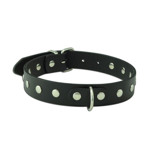 Wildhide Leather Studded D-Ring Collar Large