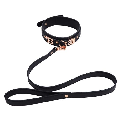 Black Faux Leather Yes Sir Collar & Leash