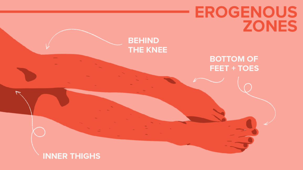 Erogenous Zones Lower Body